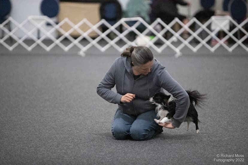 Handler and dog in competition