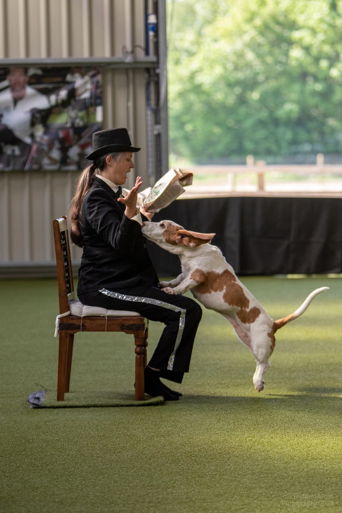 Dog and handler partnership